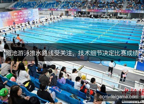 短池游泳推水路线受关注，技术细节决定比赛成绩